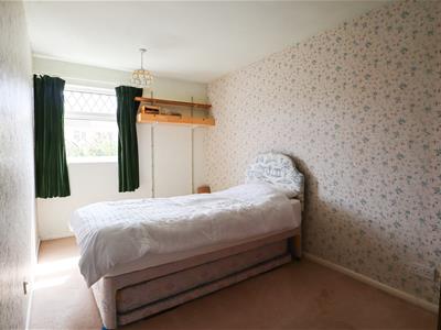 Picture 13